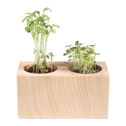 Dobbelt plantesaet - Billede 2